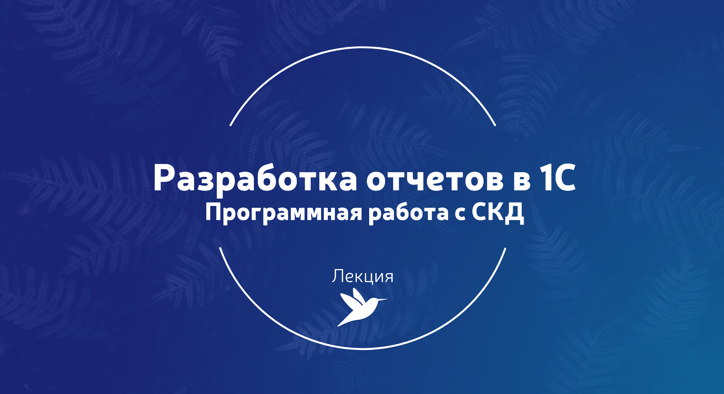 #T8. Программная работа с СКД